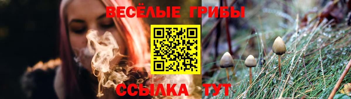 Рославль  Галлюциногенные грибы прущие грибы  Вход с VPN  Псилоцибиновые грибы мицелий 